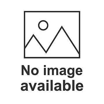 Homatmak Laghu Rudra